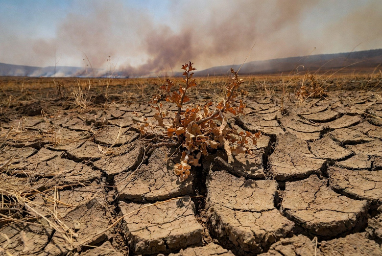 2025-й обгоняет прогнозы и станет одним из самых жарких в истории наблюдений